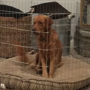 Meet your Posher, Caitlin